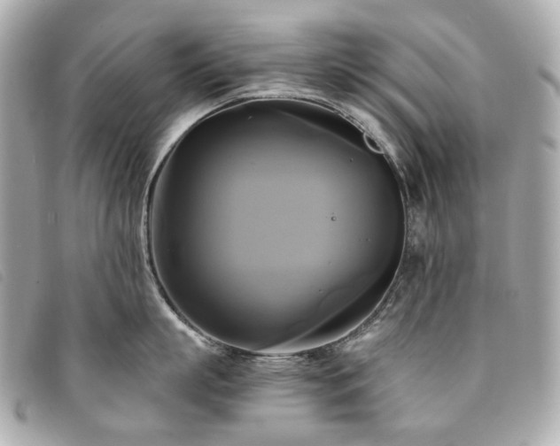 X0000094220863200710261228