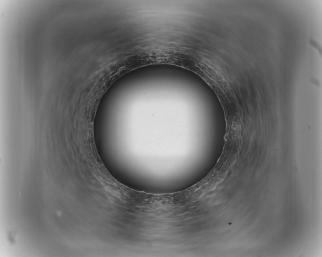 X0000094220865200710261228