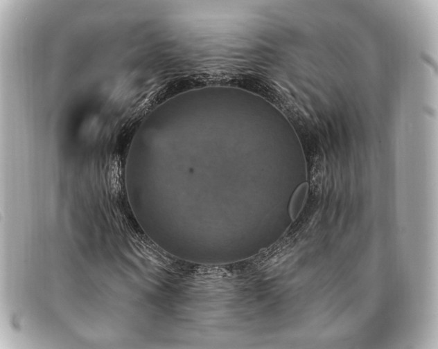 X0000094220866200710261228