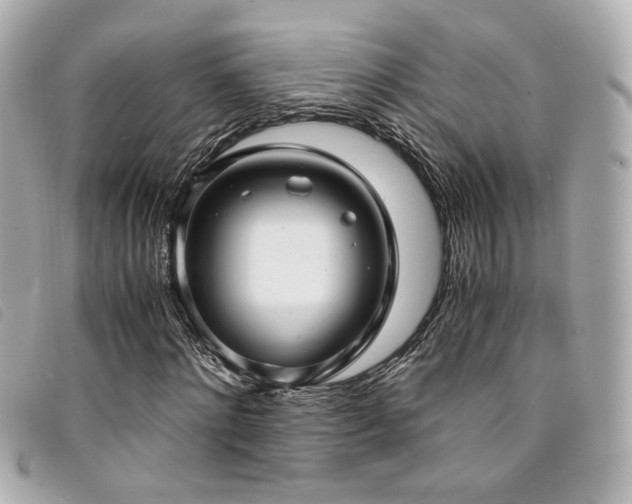 X0000094220868200710261228