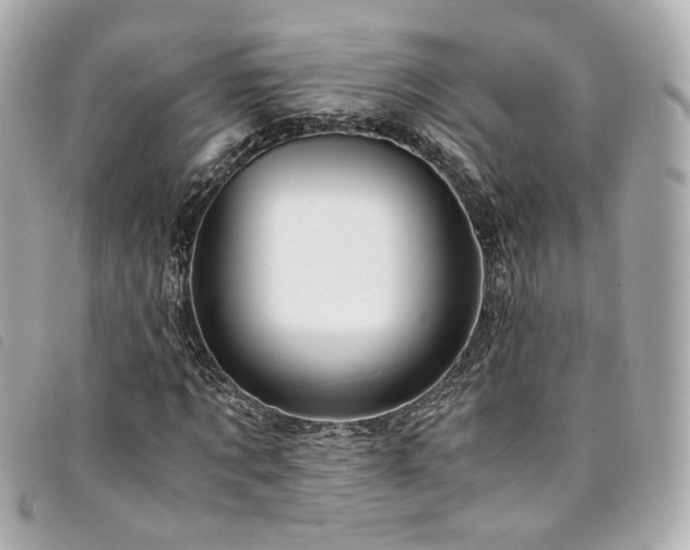 X0000094220869200710261228