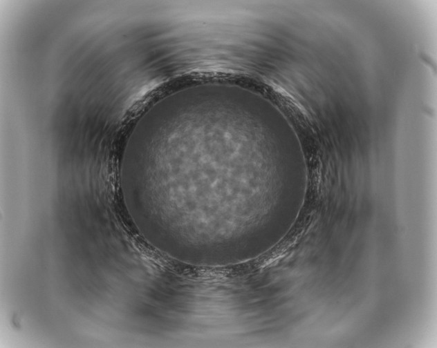 X0000094220870200710261228