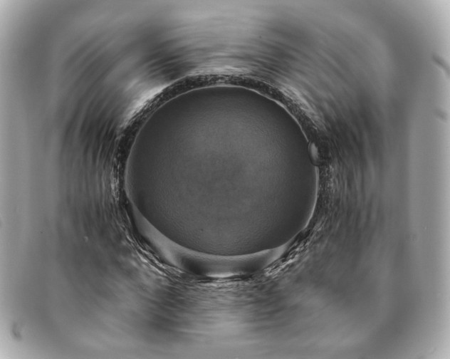 X0000094220872200710261228