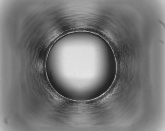 X0000094220873200710261228