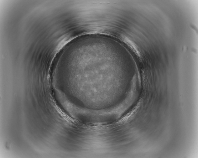 X0000094220876200710261228