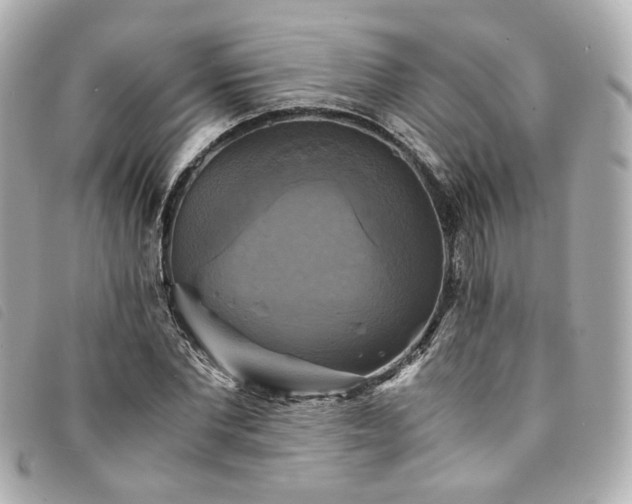 X0000094220877200710261228