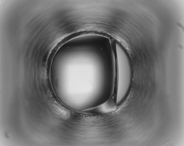 X0000094220880200710261228