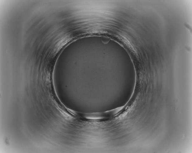 X0000094220881200710261228