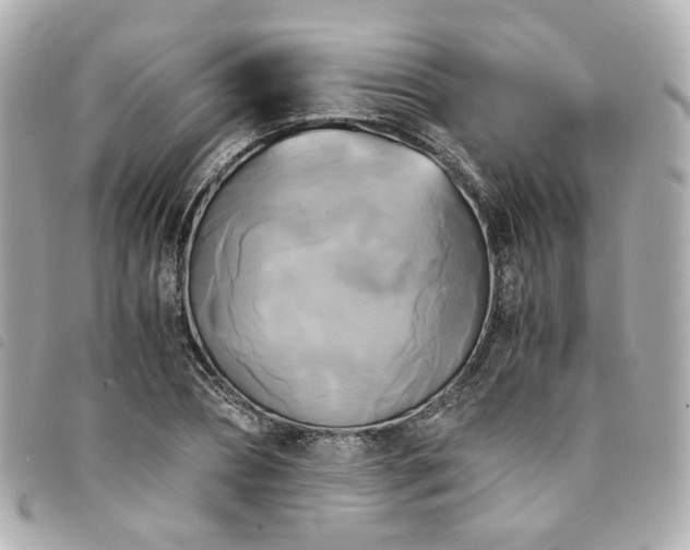 X0000094220882200710261228
