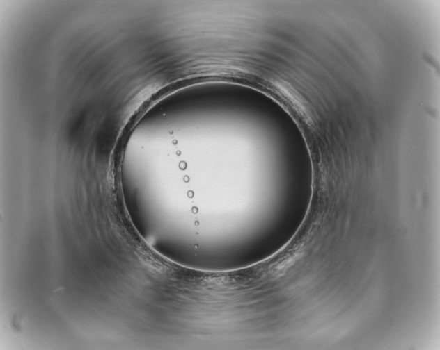 X0000094220883200710261228