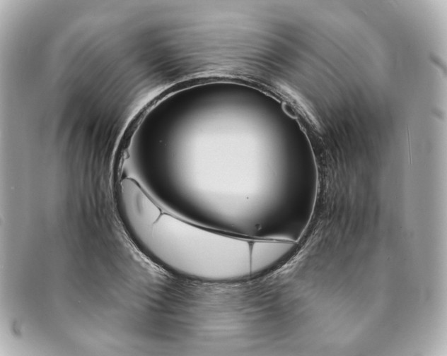 X0000094220884200710261228