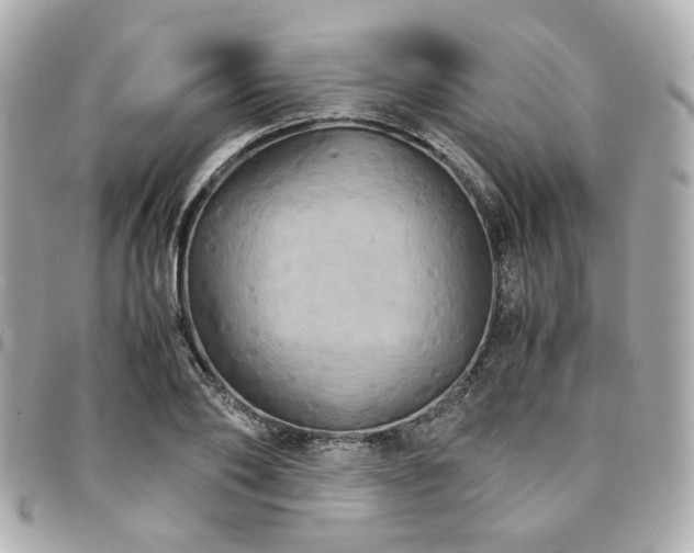 X0000094220886200710261228