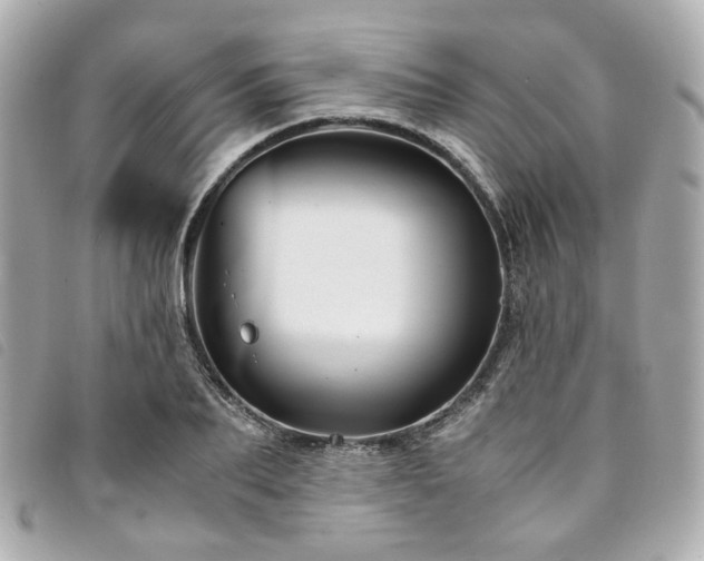 X0000094220887200710261228