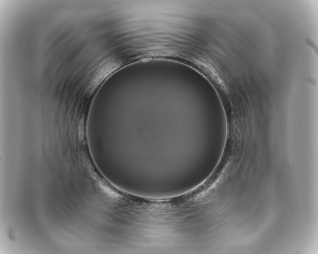 X0000094220889200710261228