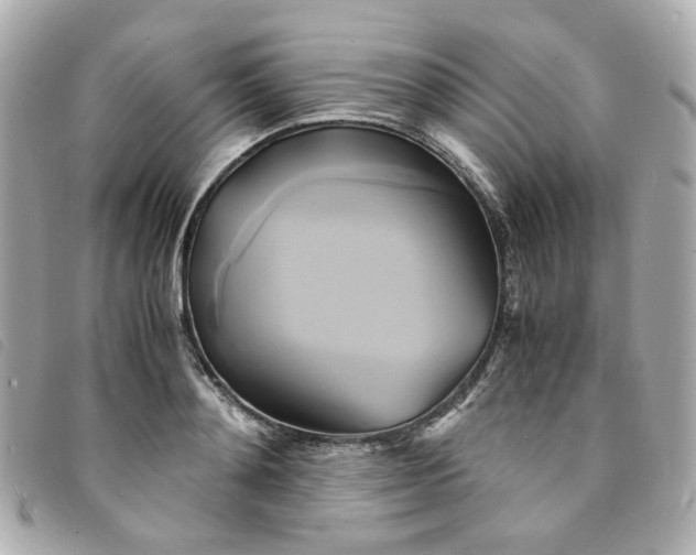 X0000094220892200710261228