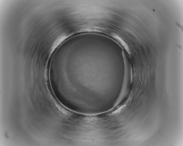 X0000094220893200710261228