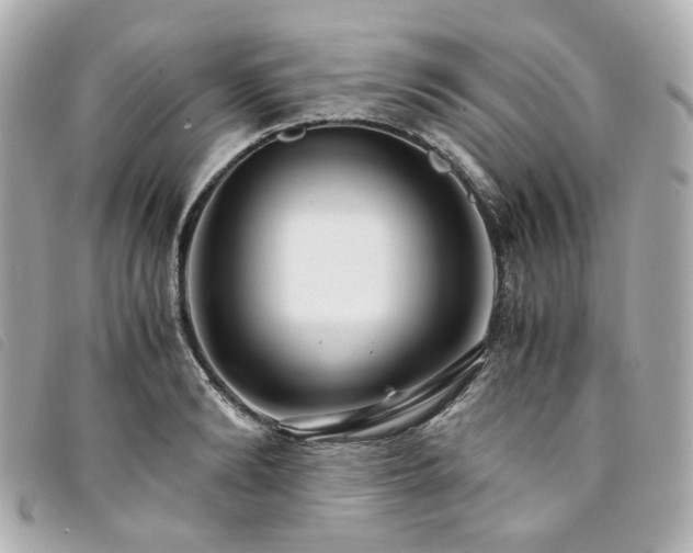 X0000094220894200710261227