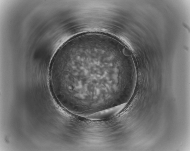 X0000094220895200710261227