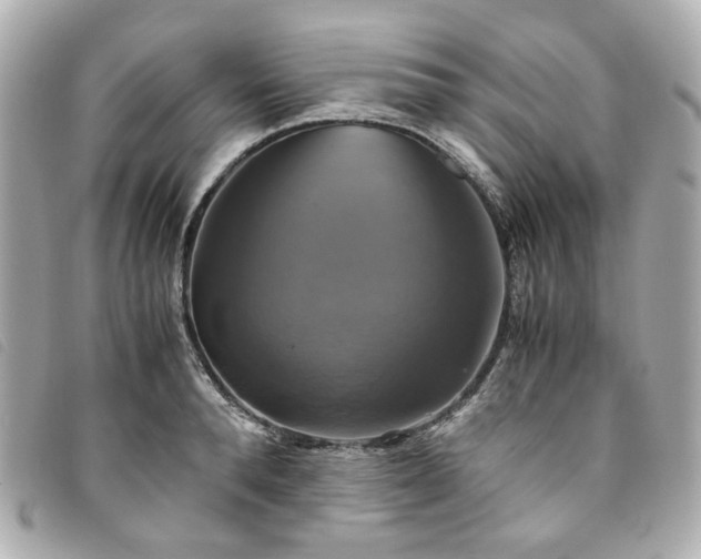 X0000094220896200710261227