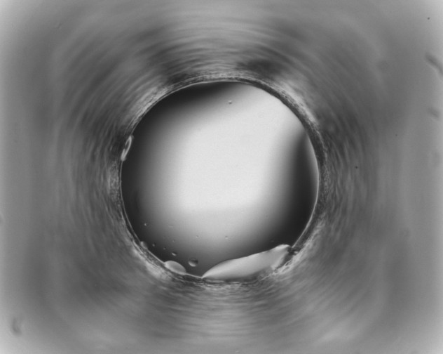 X0000094220897200710261227
