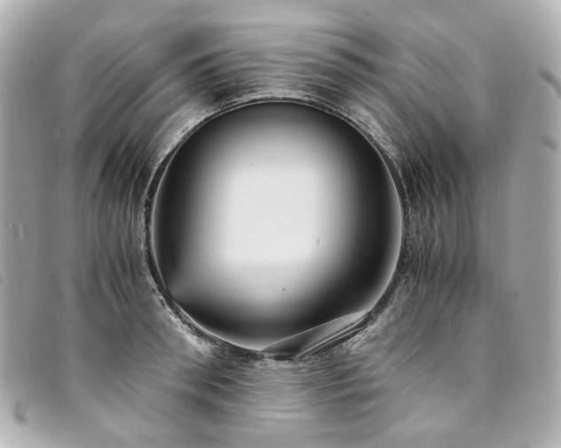 X0000094220898200710261227