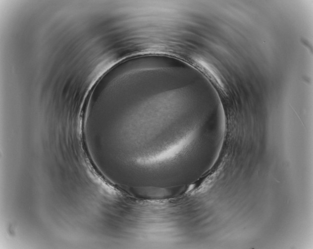 X0000094220900200710261227