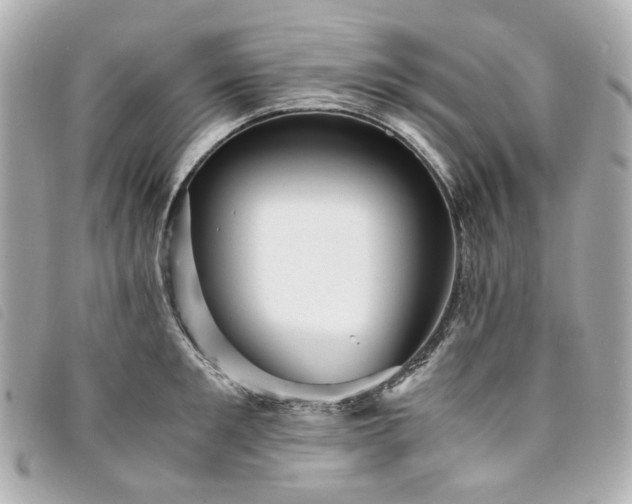 X0000094220901200710261227