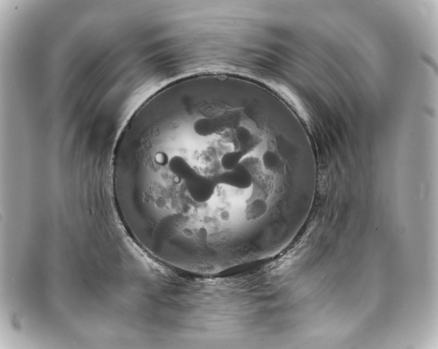 X0000094220903200710261227