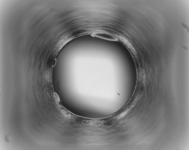 X0000094220905200710261227