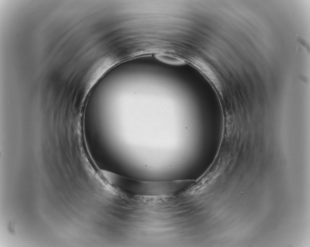 X0000094220906200710261227