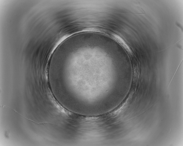X0000094220908200710261227