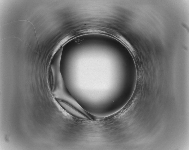 X0000094220909200710261227