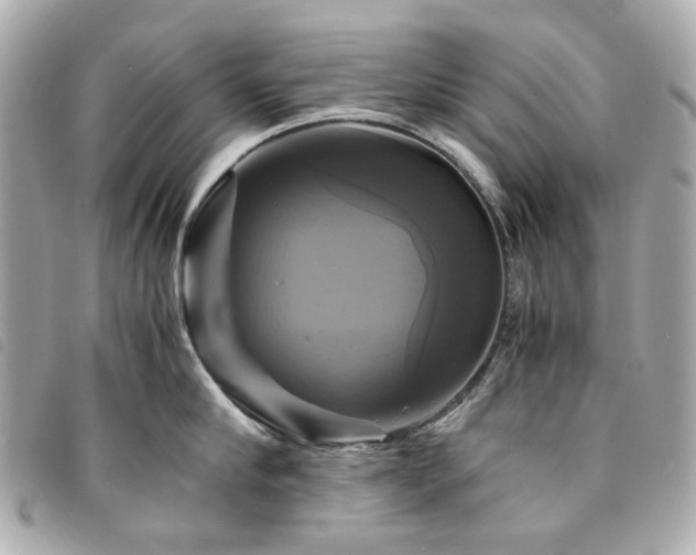 X0000094220910200710261227