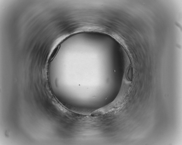 X0000094220912200710261227