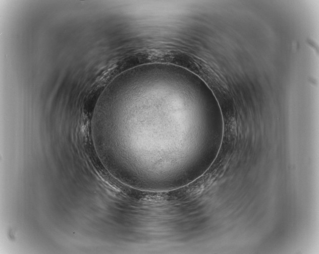 X0000094220914200710261227