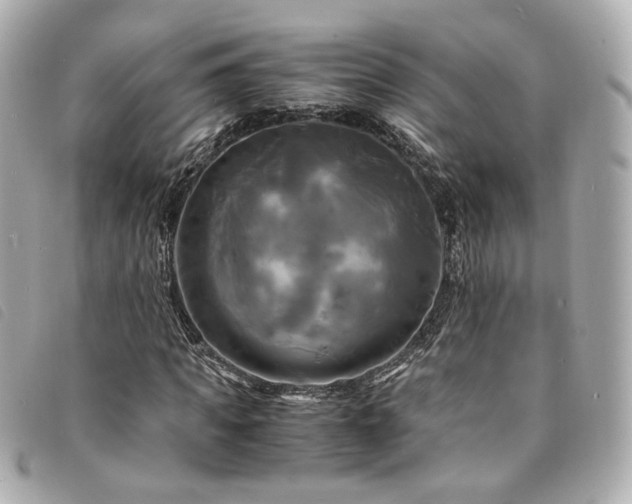 X0000094220917200710261227