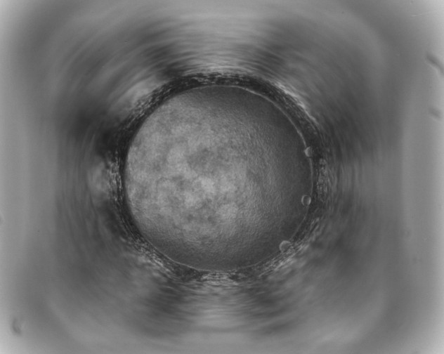 X0000094220918200710261227