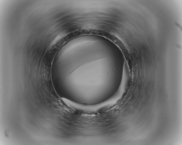 X0000094220919200710261227