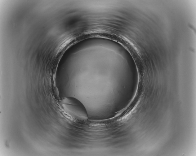 X0000094220921200710261227