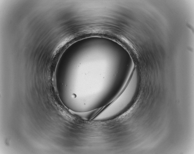 X0000094220922200710261227