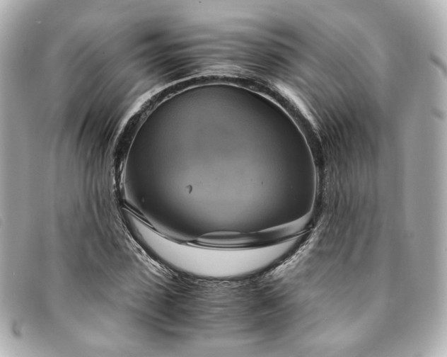 X0000094220923200710261227