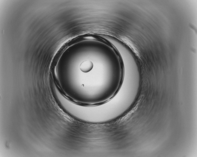 X0000094220924200710261227