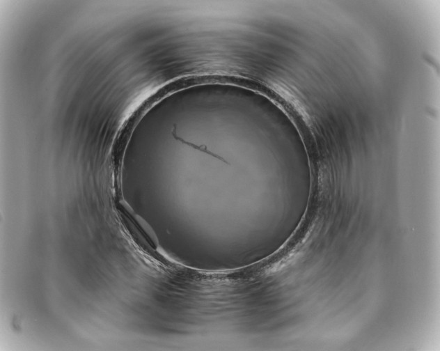X0000094220925200710261227