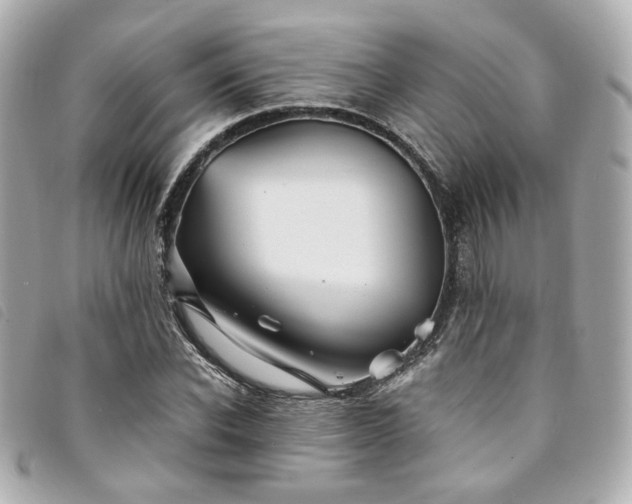 X0000094220926200710261227