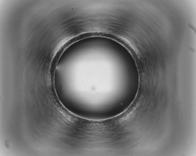 X0000094220927200710261227