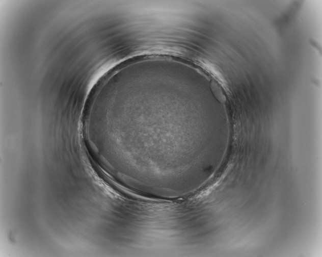 X0000094220928200710261227