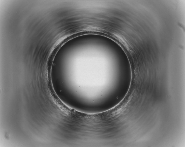 X0000094220931200710261227