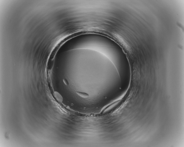X0000094220932200710261227