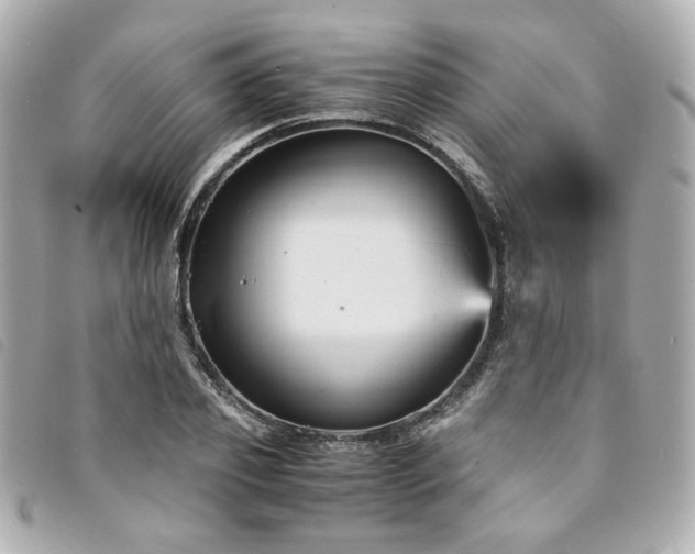 X0000094220933200710261227