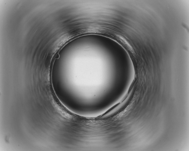 X0000094220938200710261227